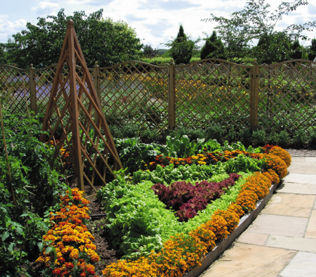 Garden Organic, Ryton, Warwickshire. Many individual gardens designed around organic vegetable growing ideas.